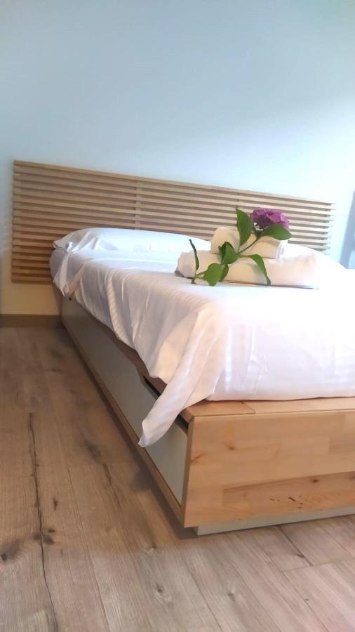 Green House Nest Levico Levico Terme Εξωτερικό φωτογραφία