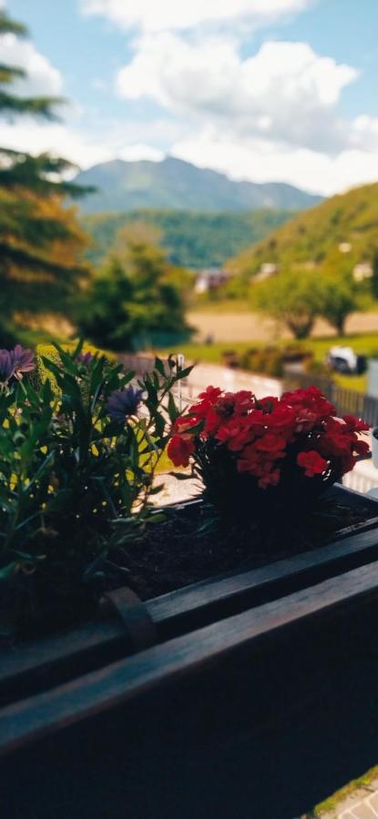 Green House Nest Levico Levico Terme Εξωτερικό φωτογραφία